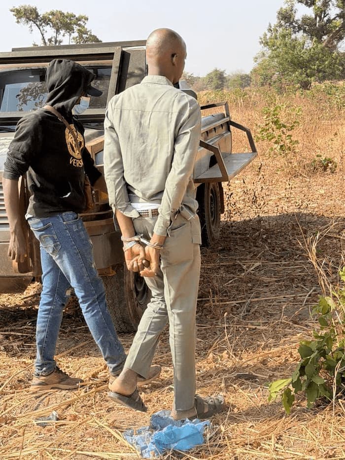 612110625 1315838623917780 5283708512101989001 n 1