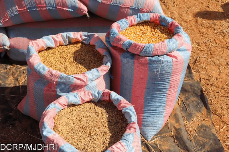 605776010 1318908760281871 5279341238300438632 n 1